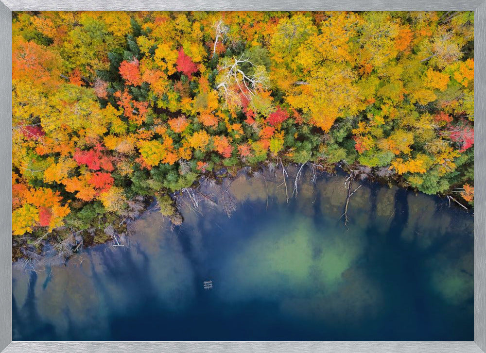 Autumn Pond Poster